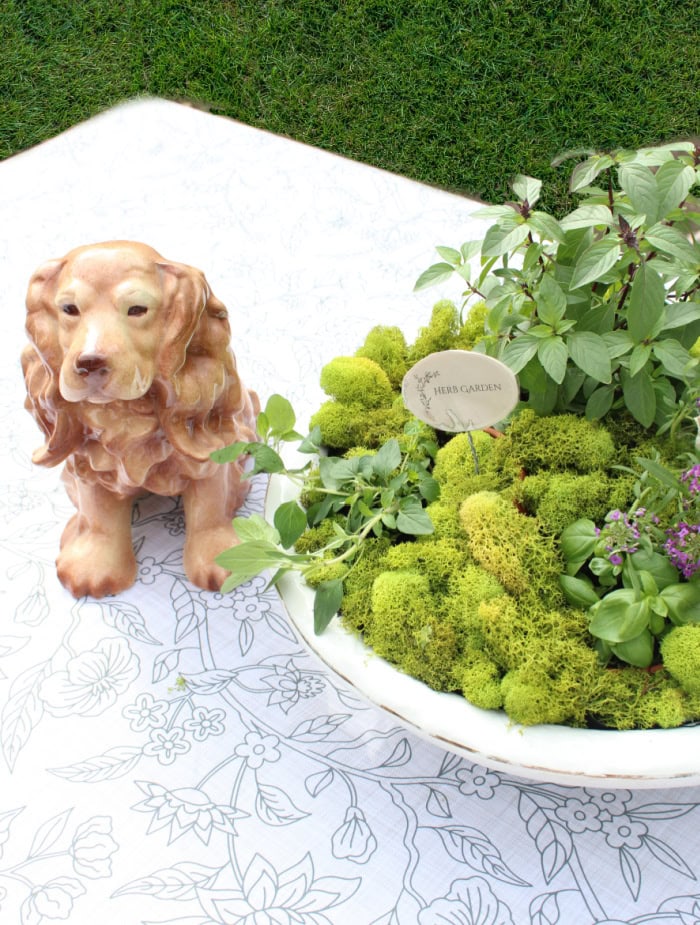 Vintage style container herb garden centerpiece in a porcelain wash basin bowl with moss, herbs, a printable garden sign, and a vintage ceramic dog.