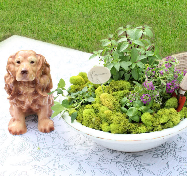Vintage style herb garden centerpiece in a porcelain wash basin on a white and green floral outdoor tablecloth with a vintage ceramic dog nearby.