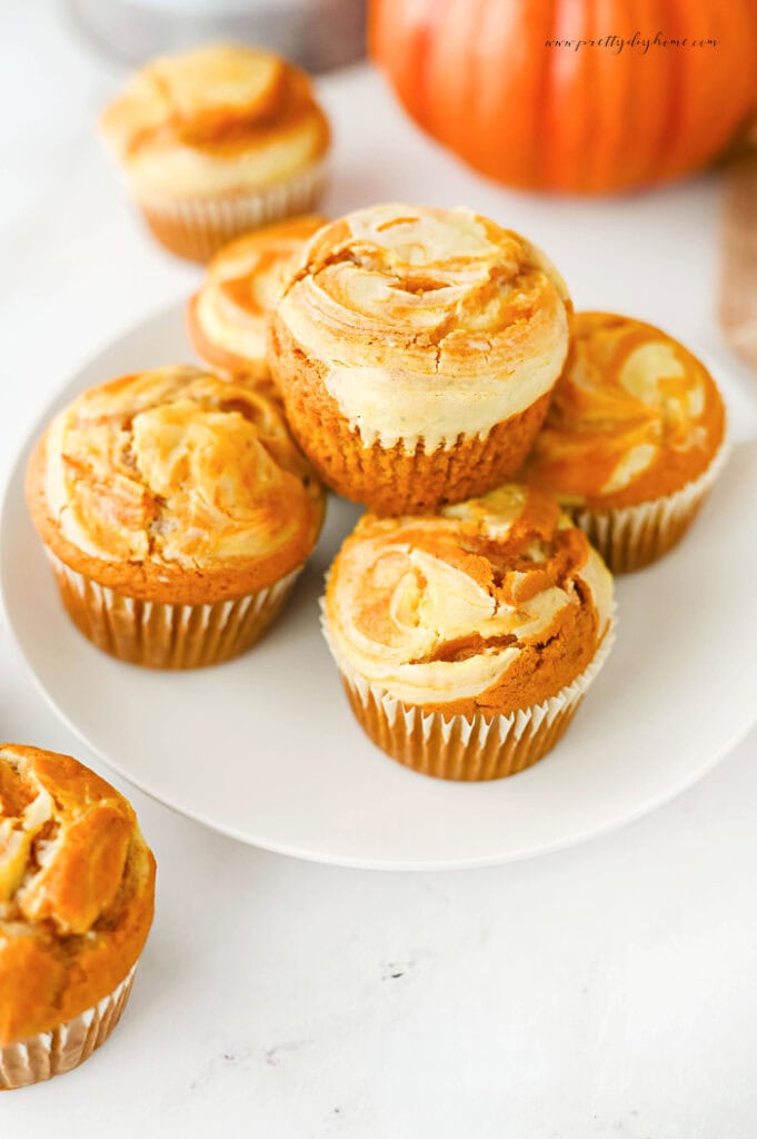 Pumpkin cheesecake muffins with cream cheese swirl arranged on a white plate.