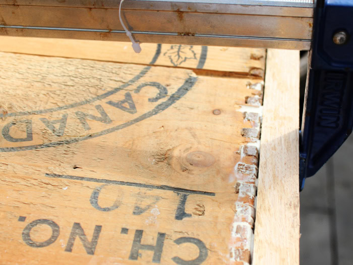 Clamped dovetail joint being repaired on an old wooden box with original manufacturer's markings.