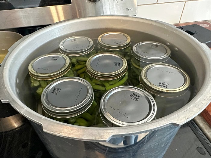 Filled jars of green beans are arranged inside a pressure canner before processing.