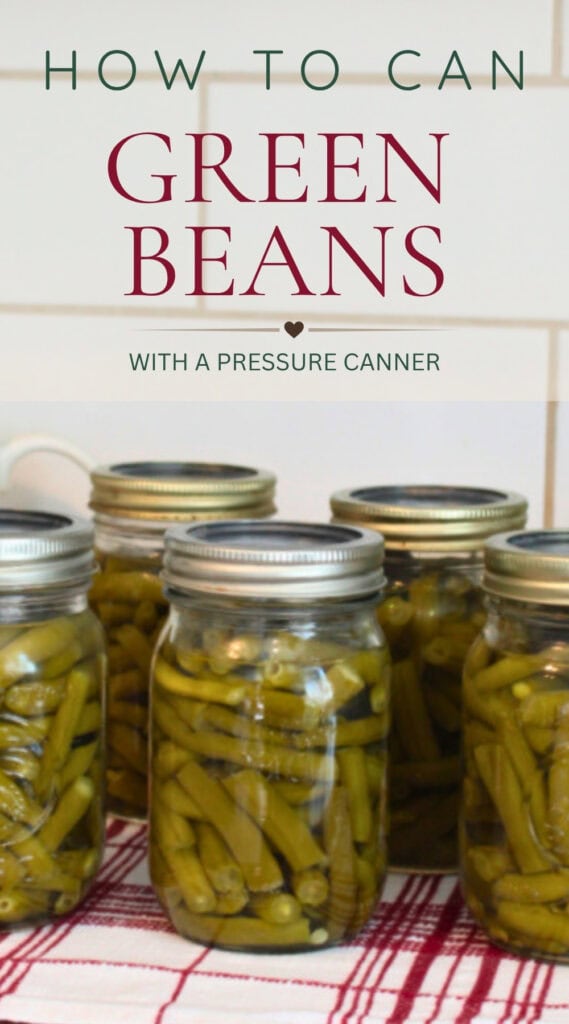 Jars of home canned green beans with the text How to Can Green Beans With a Pressure Canner.