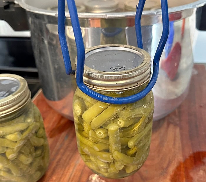 A hot jar of green beans is being lifted from the pressure canner with a jar lifter.