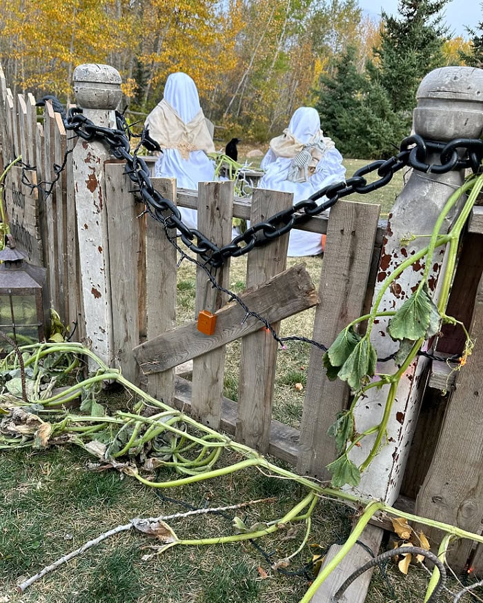 A handmade Halloween cemetery pallet gate is decorated with crows, pumpkins, garden vines, lights, chains, and an orange lock.