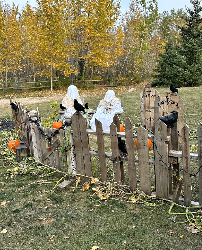 Wide view of a DIY Halloween graveyard pallet fence with pointed pickets, seated ghosts, ravens, pumpkins, vines, and pallet gravestones.