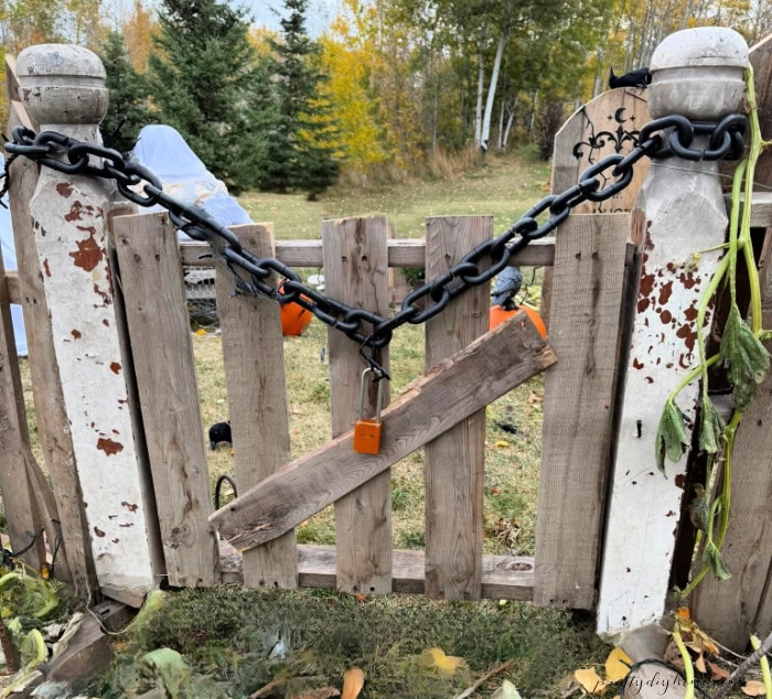 Finished DIY Halloween pallet fence gate between weathered posts with black chain, orange lock, vines, and pumpkins.
